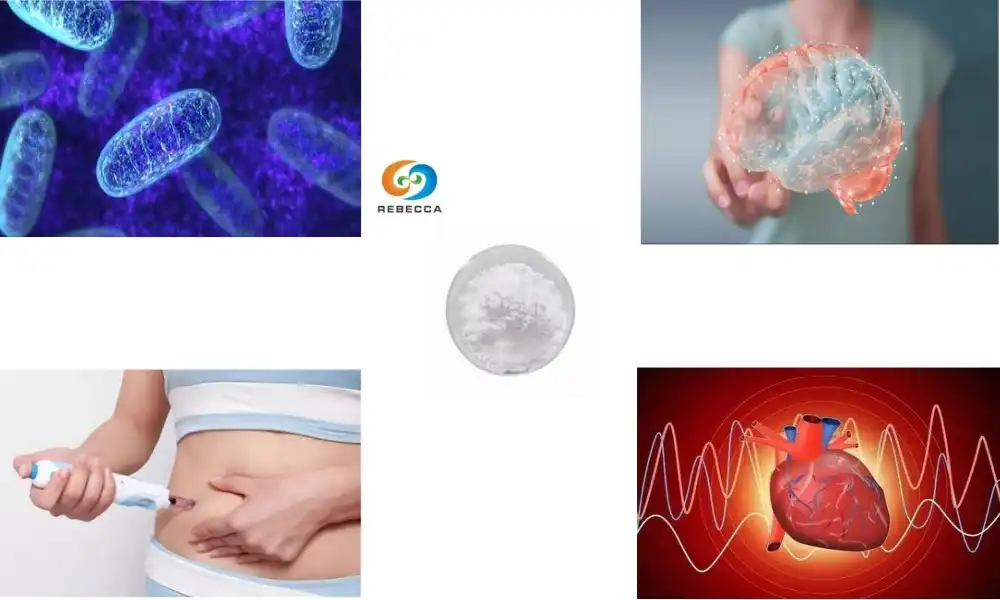 Is beta nicotinamide mononucleotide anti-aging?